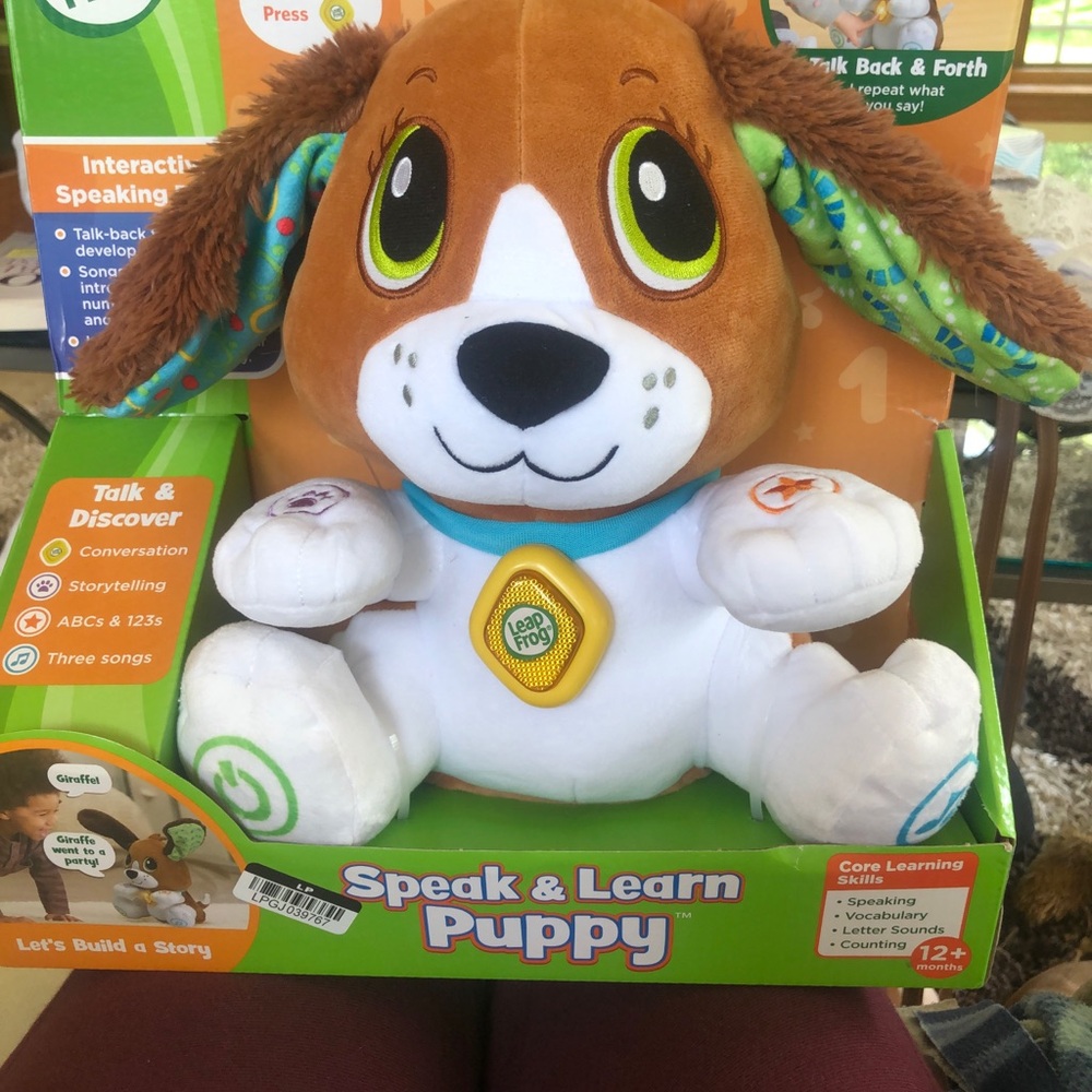 Interactive Speak & Learn Puppy Toy . New in box